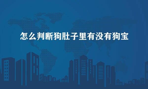怎么判断狗肚子里有没有狗宝