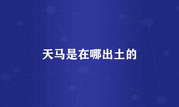 天马是在哪出土的