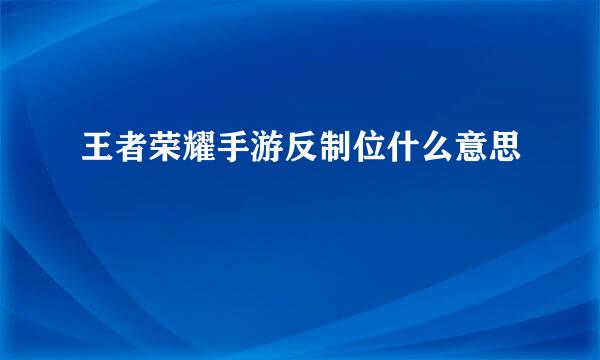 王者荣耀手游反制位什么意思