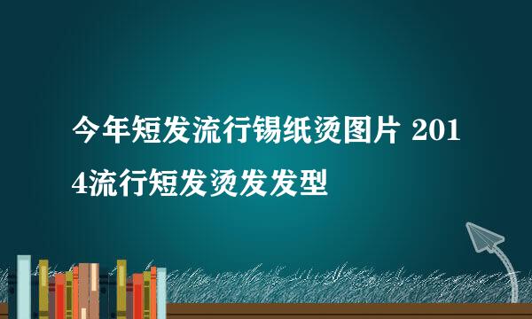 今年短发流行锡纸烫图片 2014流行短发烫发发型