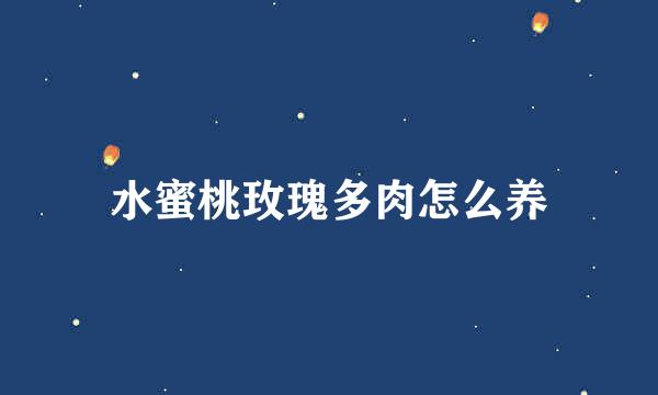 水蜜桃玫瑰多肉怎么养