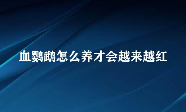 血鹦鹉怎么养才会越来越红