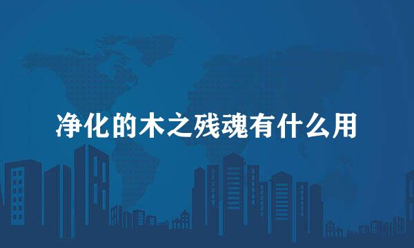 净化的木之残魂有什么用