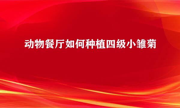 动物餐厅如何种植四级小雏菊