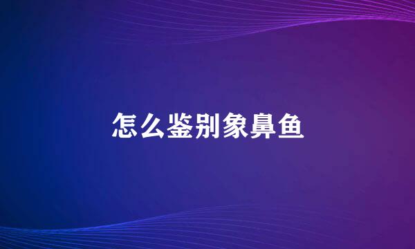 怎么鉴别象鼻鱼