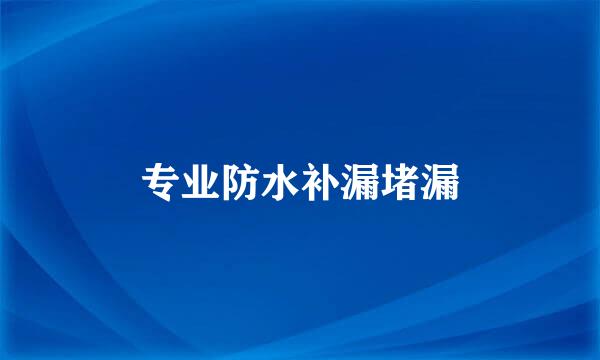 专业防水补漏堵漏