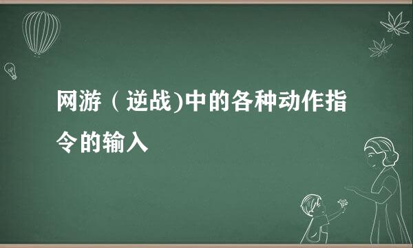 网游（逆战)中的各种动作指令的输入