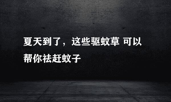 夏天到了，这些驱蚊草 可以帮你祛赶蚊子