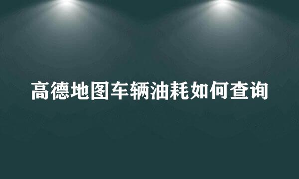 高德地图车辆油耗如何查询