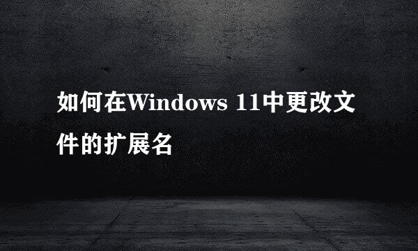 如何在Windows 11中更改文件的扩展名