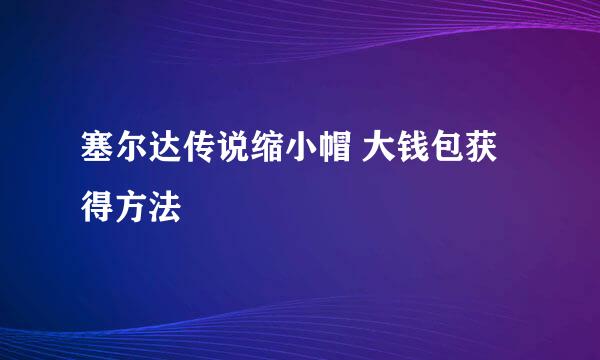 塞尔达传说缩小帽 大钱包获得方法