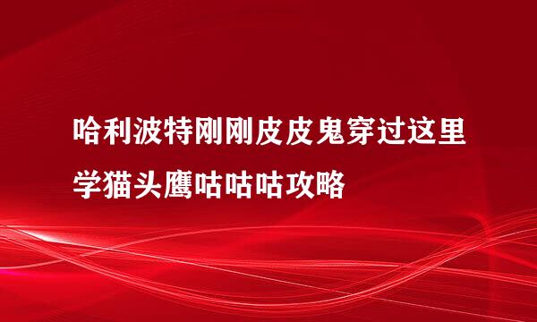 哈利波特刚刚皮皮鬼穿过这里学猫头鹰咕咕咕攻略