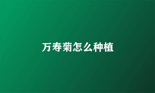 万寿菊怎么种植