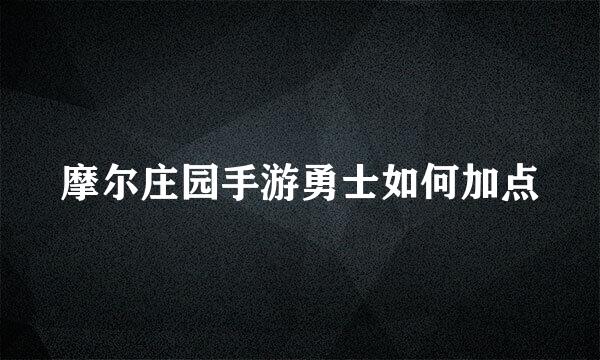 摩尔庄园手游勇士如何加点