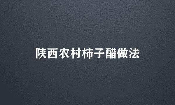 陕西农村柿子醋做法