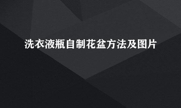 洗衣液瓶自制花盆方法及图片
