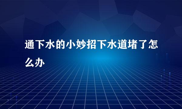 通下水的小妙招下水道堵了怎么办