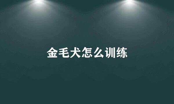 金毛犬怎么训练
