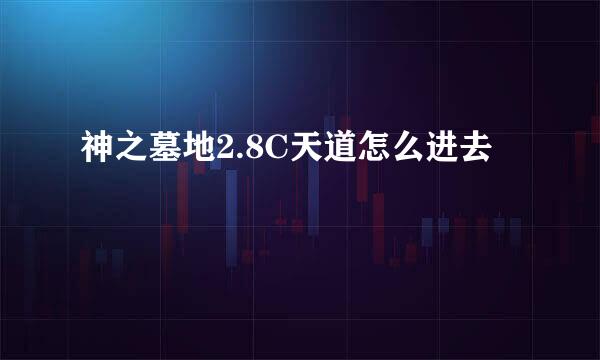 神之墓地2.8C天道怎么进去