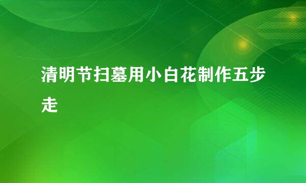 清明节扫墓用小白花制作五步走
