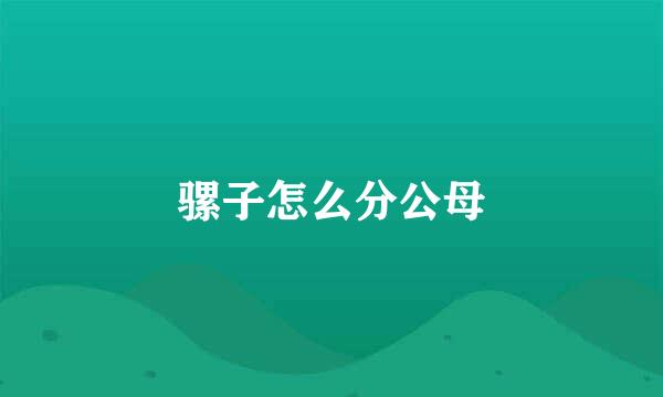 骡子怎么分公母