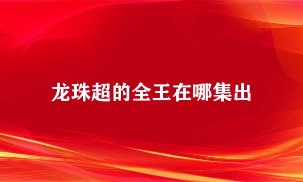 龙珠超的全王在哪集出