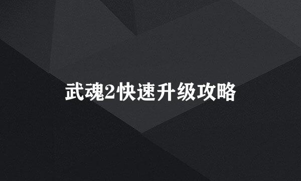 武魂2快速升级攻略