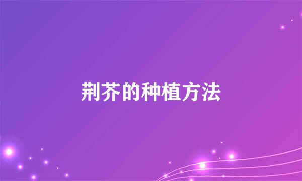 荆芥的种植方法