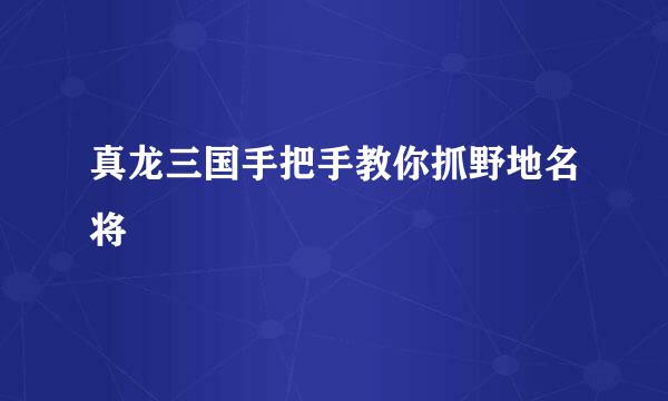 真龙三国手把手教你抓野地名将