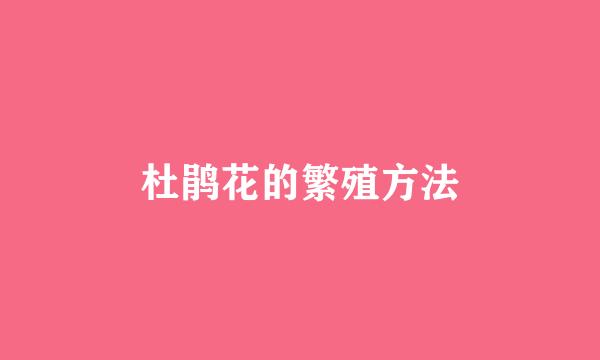 杜鹃花的繁殖方法