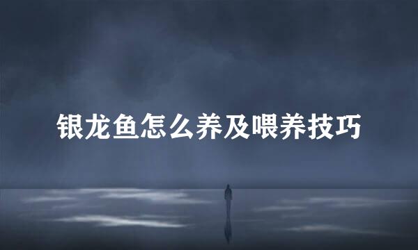 银龙鱼怎么养及喂养技巧