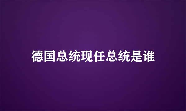 德国总统现任总统是谁