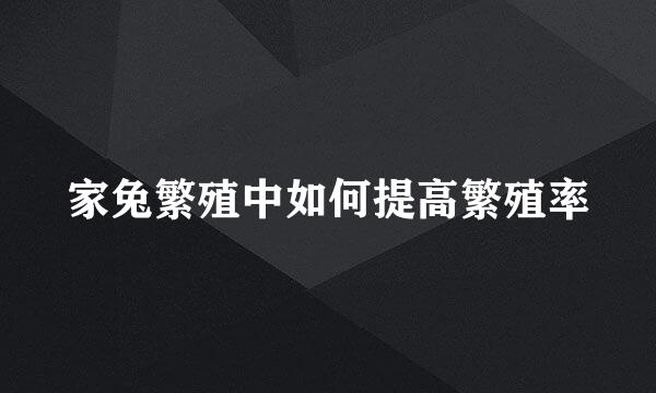 家兔繁殖中如何提高繁殖率