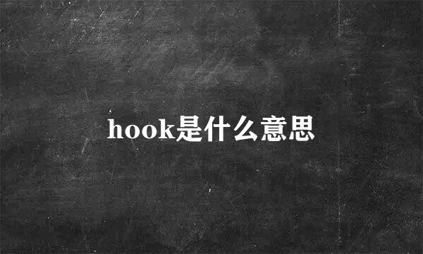 hook是什么意思
