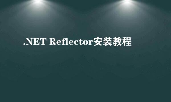 .NET Reflector安装教程