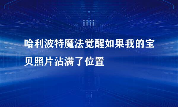 哈利波特魔法觉醒如果我的宝贝照片沾满了位置