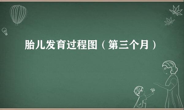 胎儿发育过程图（第三个月）