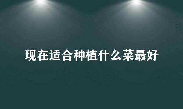 现在适合种植什么菜最好