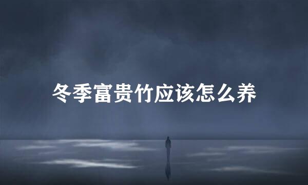 冬季富贵竹应该怎么养