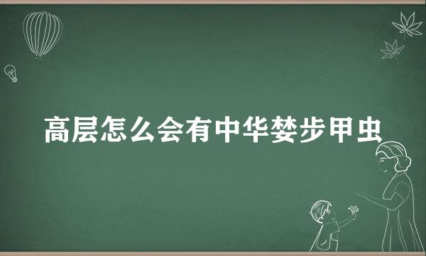 高层怎么会有中华婪步甲虫