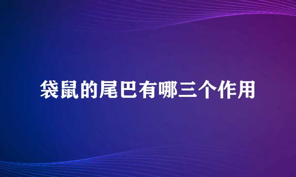 袋鼠的尾巴有哪三个作用