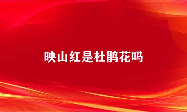 映山红是杜鹃花吗