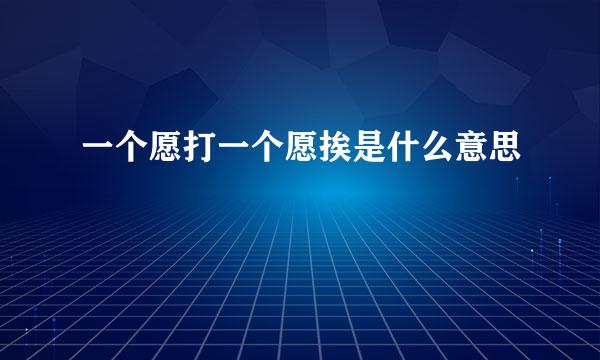 一个愿打一个愿挨是什么意思
