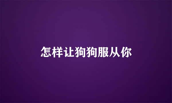 怎样让狗狗服从你