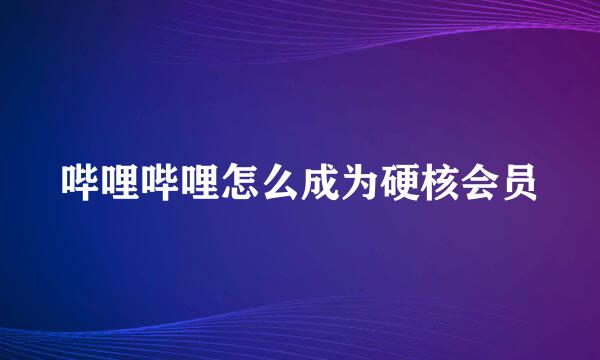 哔哩哔哩怎么成为硬核会员