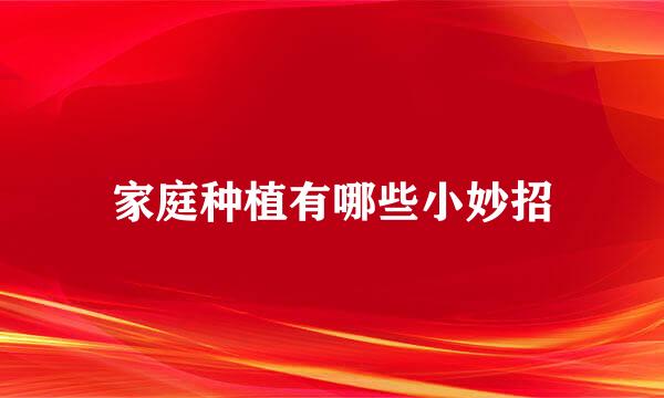 家庭种植有哪些小妙招