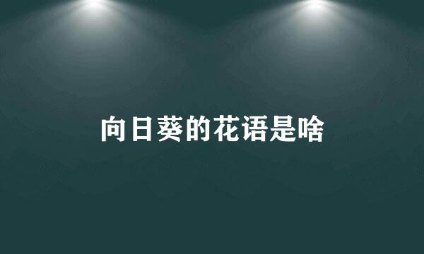 向日葵的花语是啥