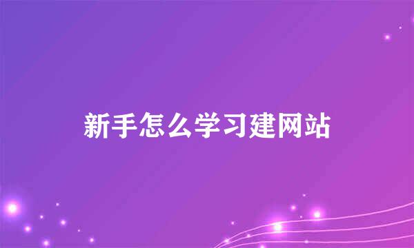 新手怎么学习建网站