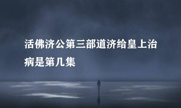 活佛济公第三部道济给皇上治病是第几集