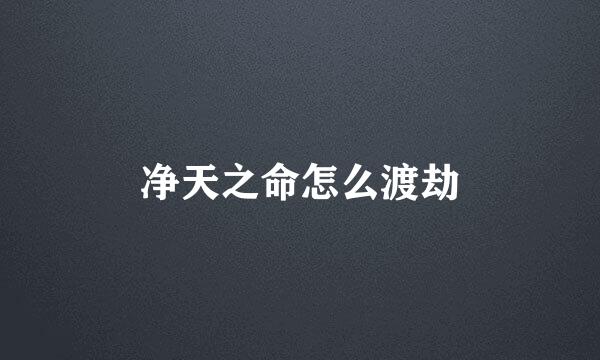 净天之命怎么渡劫